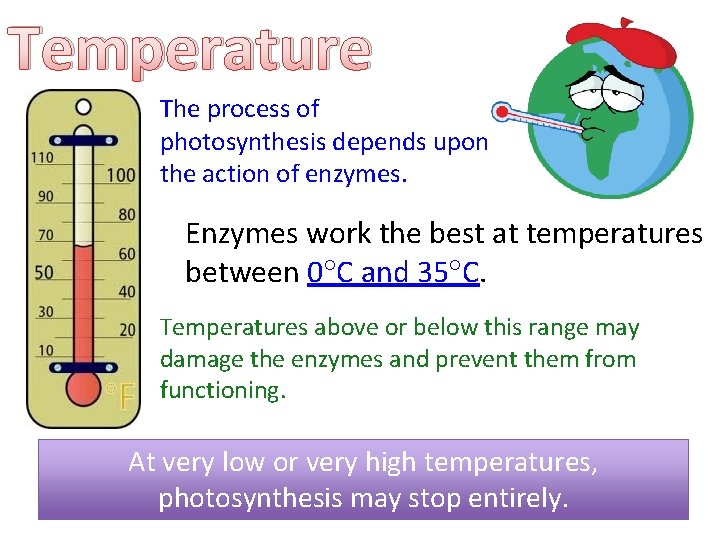 Temperature The process of photosynthesis depends upon the action of enzymes. Enzymes work the