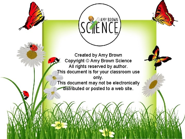 Created by Amy Brown Copyright © Amy Brown Science All rights reserved by author.