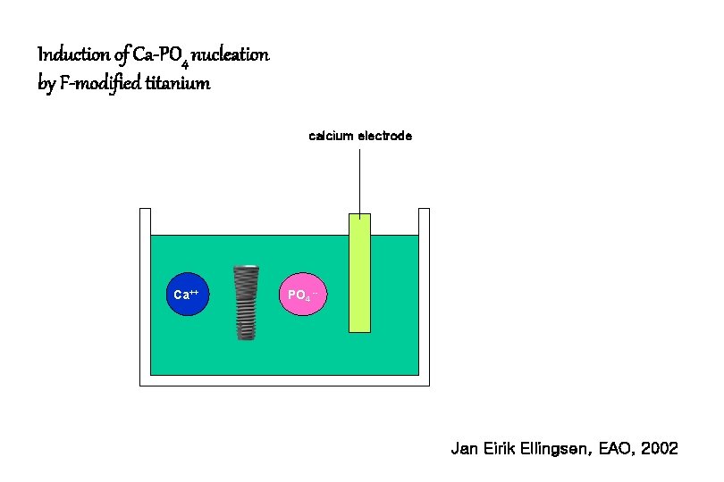 Induction of Ca-PO 4 nucleation by F-modified titanium calcium electrode Ca++ PO 4 --