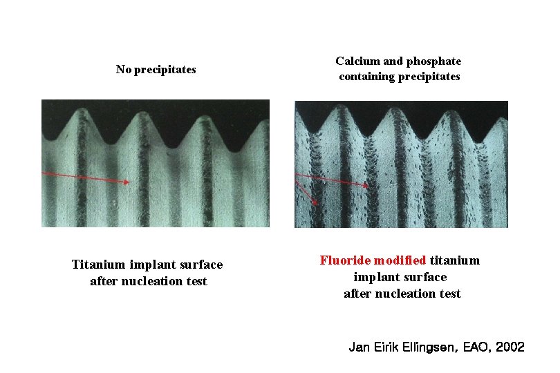 No precipitates Titanium implant surface after nucleation test Calcium and phosphate containing precipitates Fluoride