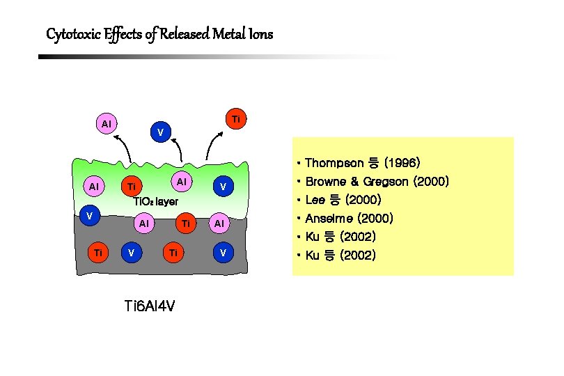 Cytotoxic Effects of Released Metal Ions Ti Al V • Thompson 등 (1996) Al
