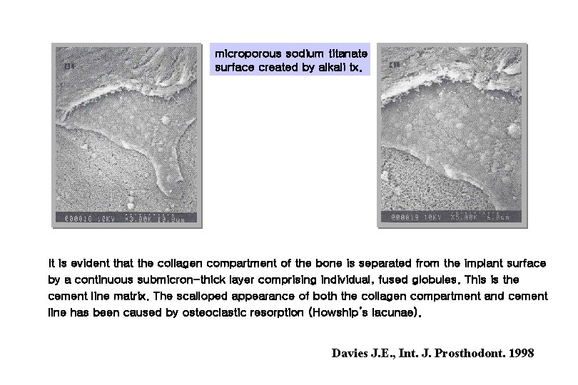 microporous sodium titanate surface created by alkali tx. It is evident that the collagen