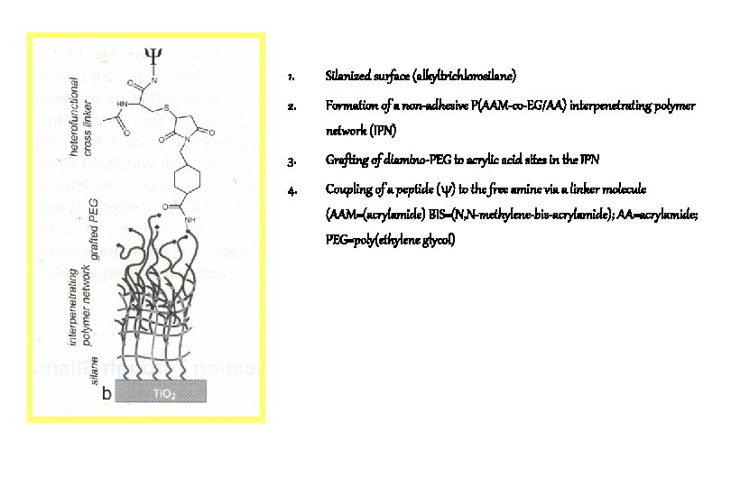 1. Silanized surface (alkyltrichlorosilane) 2. Formation of a non-adhesive P(AAM-co-EG/AA) interpenetrating polymer network (IPN)