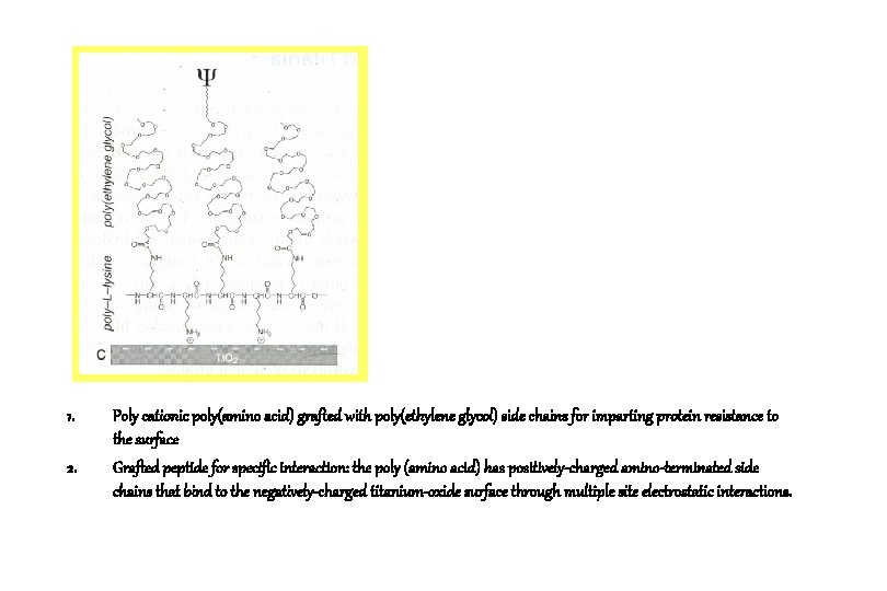 1. 2. Poly cationic poly(amino acid) grafted with poly(ethylene glycol) side chains for imparting