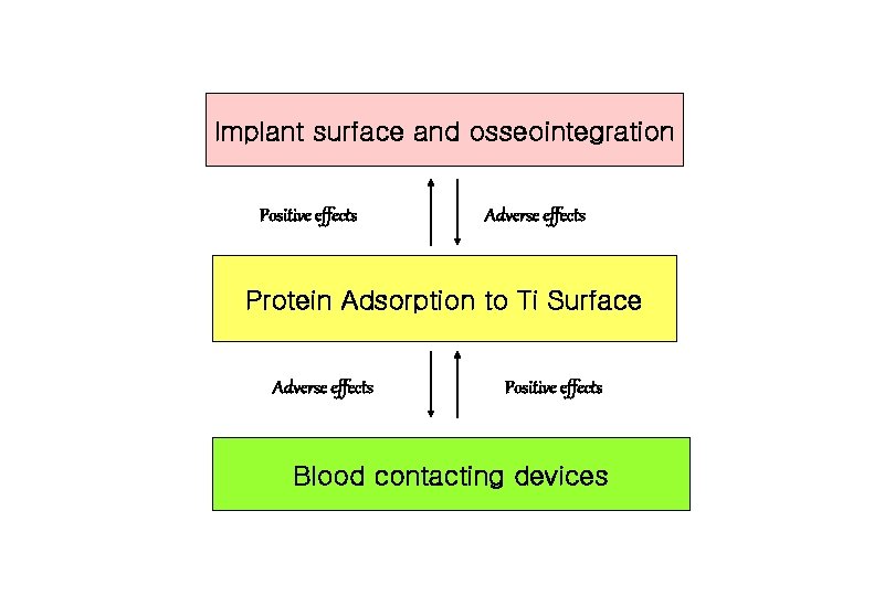 Implant surface and osseointegration Positive effects Adverse effects Protein Adsorption to Ti Surface Adverse