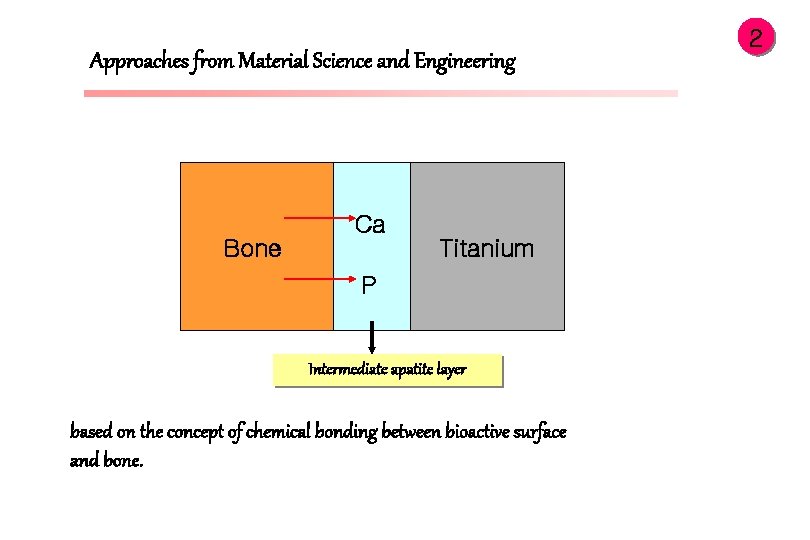Approaches from Material Science and Engineering Ca Bone Titanium P Intermediate apatite layer based