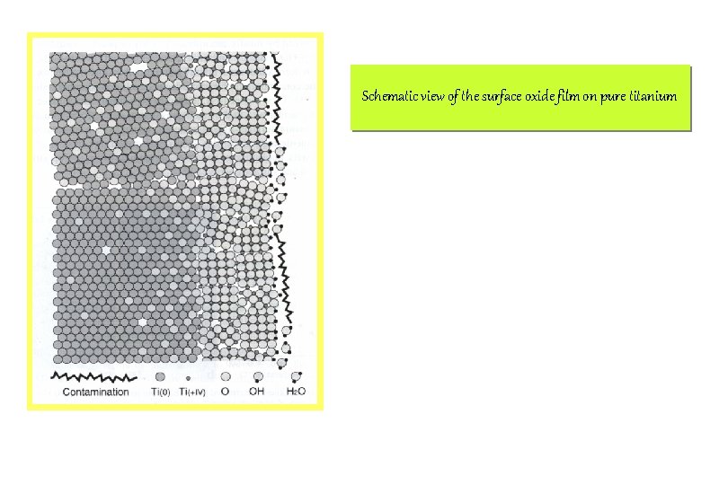 Schematic view of the surface oxide film on pure titanium 