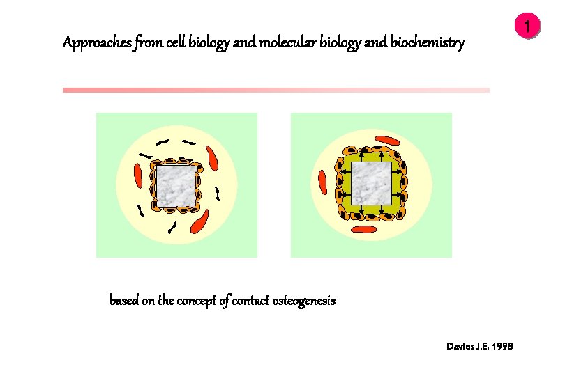 Approaches from cell biology and molecular biology and biochemistry based on the concept of