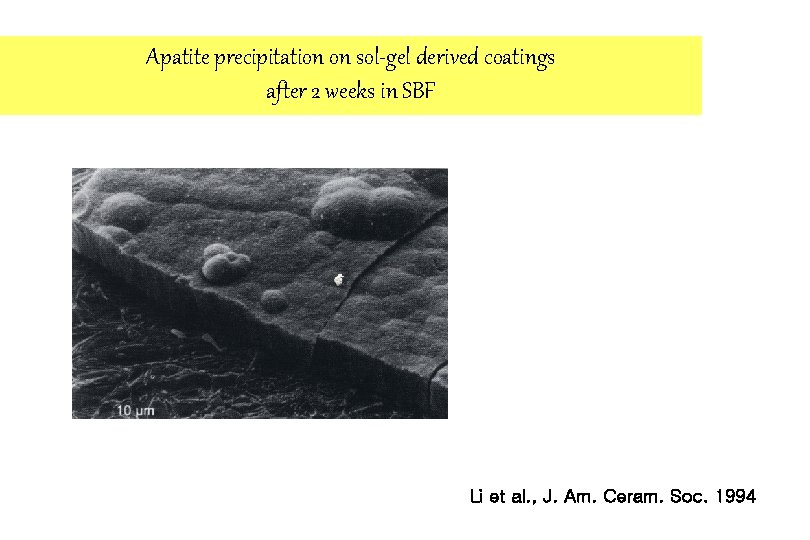 Apatite precipitation on sol-gel derived coatings after 2 weeks in SBF Li et al.