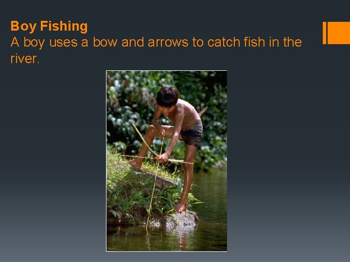 Boy Fishing A boy uses a bow and arrows to catch fish in the