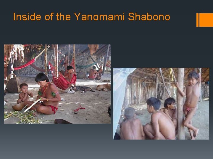 Inside of the Yanomami Shabono 