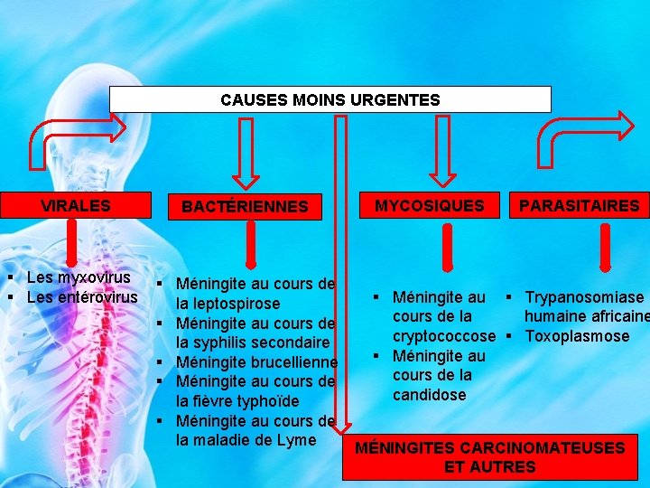 CAUSES MOINS URGENTES VIRALES § Les myxovirus § Les entérovirus BACTÉRIENNES MYCOSIQUES PARASITAIRES §