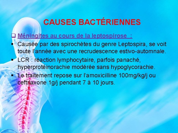 CAUSES BACTÉRIENNES q Méningites au cours de la leptospirose : § Causée par des