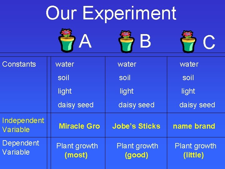 Our Experiment A B Constants Independent Variable Dependent Variable C water soil light daisy