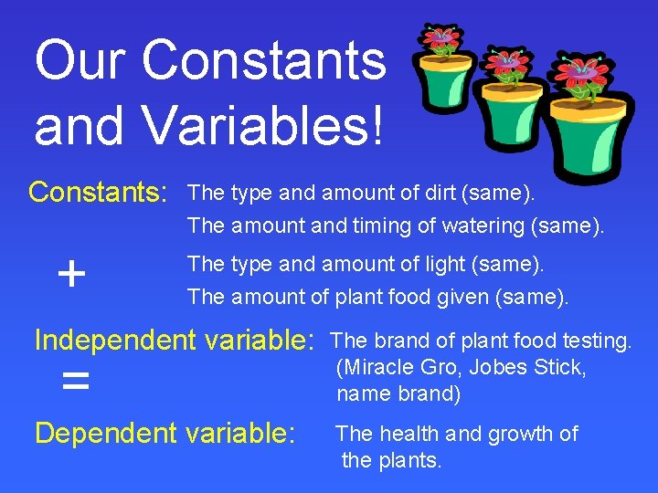 Our Constants and Variables! Constants: + The type and amount of dirt (same). The