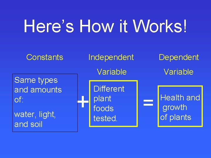Here’s How it Works! Constants Same types and amounts of: water, light, and soil