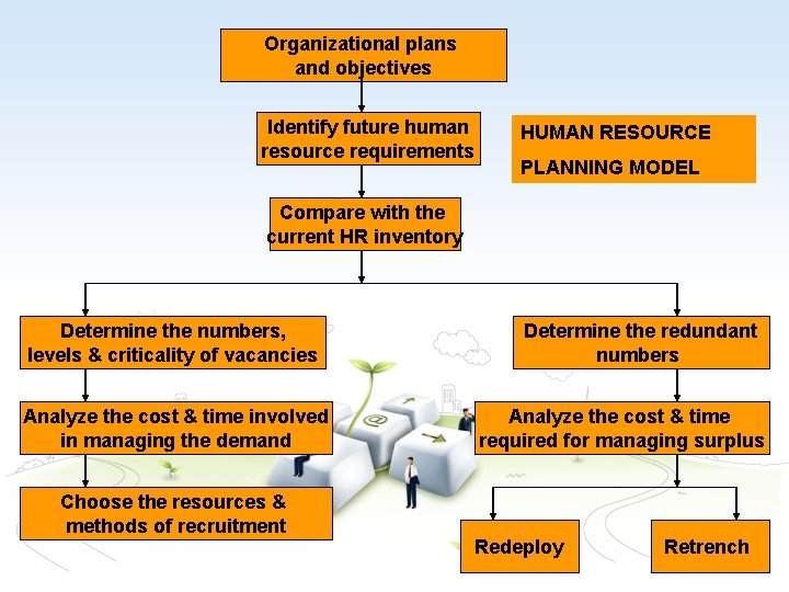 Organizational plans and objectives Identify future human resource requirements HUMAN RESOURCE PLANNING MODEL Compare