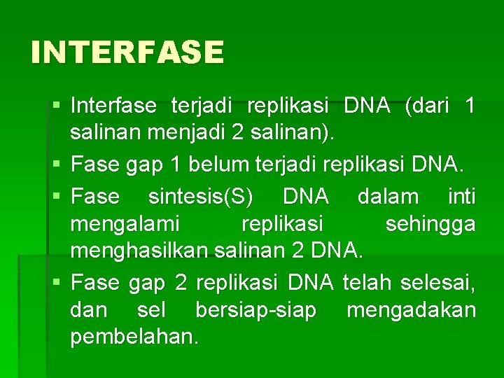 INTERFASE § Interfase terjadi replikasi DNA (dari 1 salinan menjadi 2 salinan). § Fase