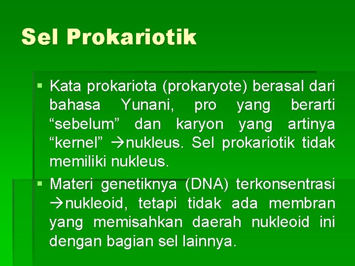 Sel Prokariotik § Kata prokariota (prokaryote) berasal dari bahasa Yunani, pro yang berarti “sebelum”