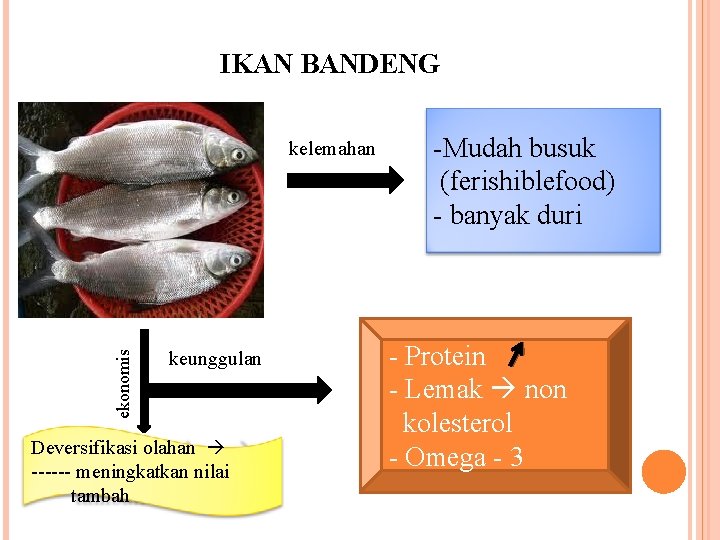 IKAN BANDENG ekonomis kelemahan keunggulan Deversifikasi olahan ------ meningkatkan nilai tambah -Mudah busuk (ferishiblefood)