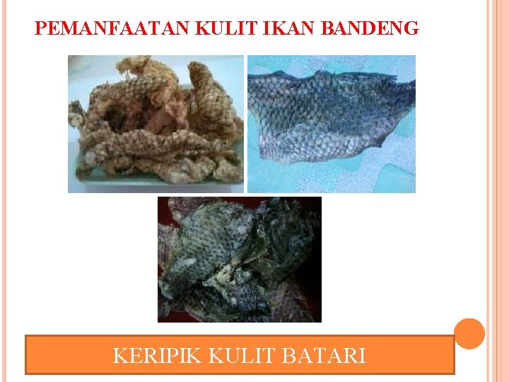 PEMANFAATAN KULIT IKAN BANDENG KERIPIK KULIT BATARI 