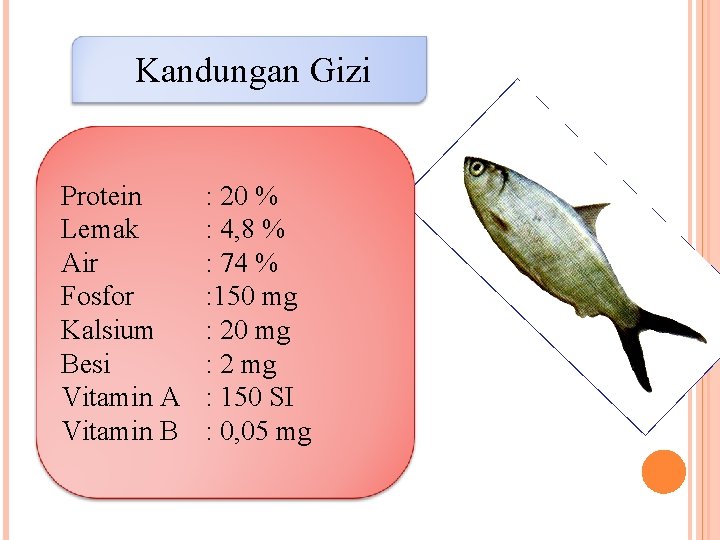 Kandungan Gizi Protein Lemak Air Fosfor Kalsium Besi Vitamin A Vitamin B : 20