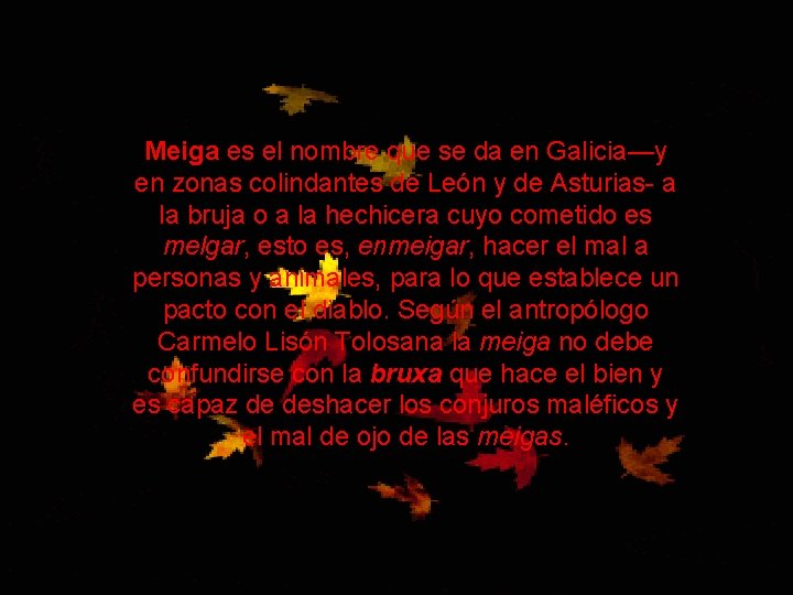 Meiga es el nombre que se da en Galicia—y en zonas colindantes de León