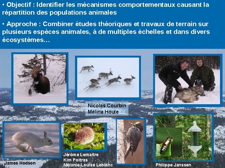  • Objectif : Identifier les mécanismes comportementaux causant la répartition des populations animales
