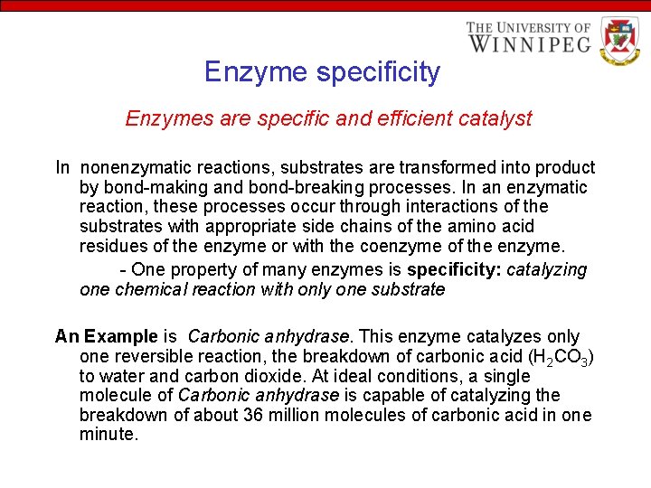 Enzyme specificity Enzymes are specific and efficient catalyst In nonenzymatic reactions, substrates are transformed