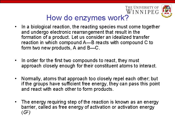 How do enzymes work? • In a biological reaction, the reacting species must come