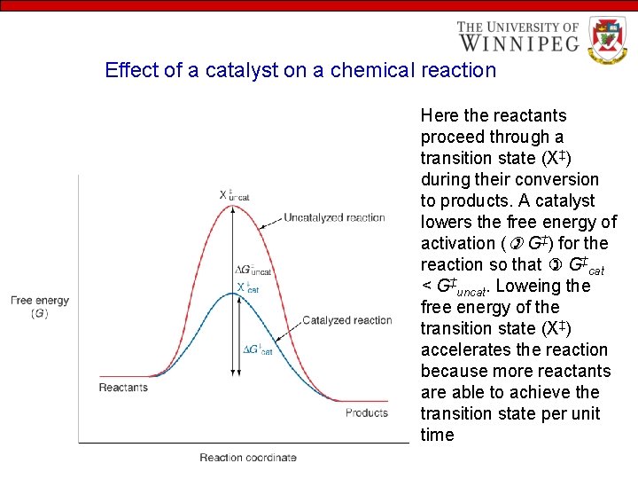 Effect of a catalyst on a chemical reaction Here the reactants proceed through a