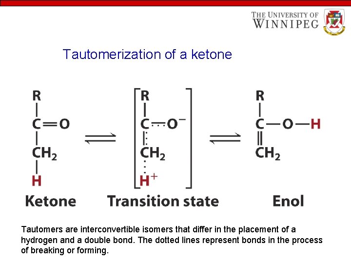 Tautomerization of a ketone Tautomers are interconvertible isomers that differ in the placement of