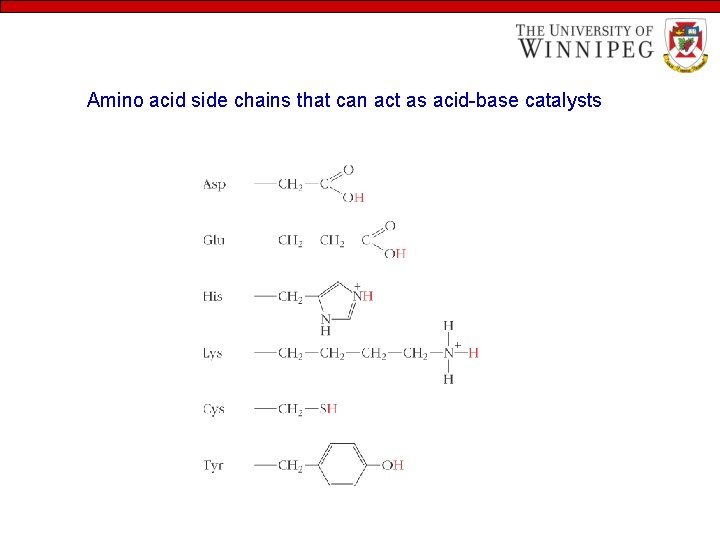 Amino acid side chains that can act as acid-base catalysts 