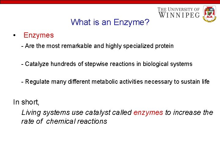 What is an Enzyme? • Enzymes - Are the most remarkable and highly specialized