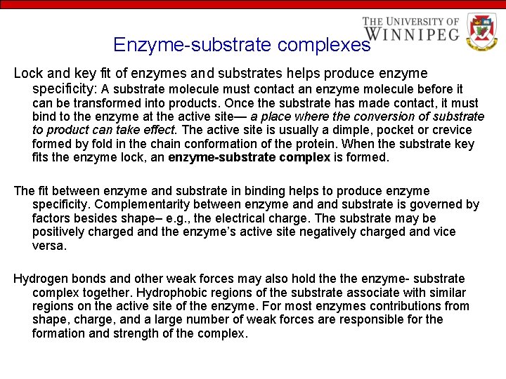 Enzyme-substrate complexes Lock and key fit of enzymes and substrates helps produce enzyme specificity: