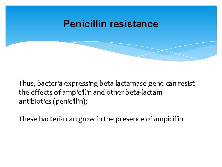 Penicillin resistance Thus, bacteria expressing beta lactamase gene can resist the effects of ampicillin