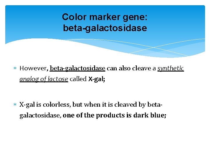 Color marker gene: beta-galactosidase However, beta-galactosidase can also cleave a synthetic analog of lactose
