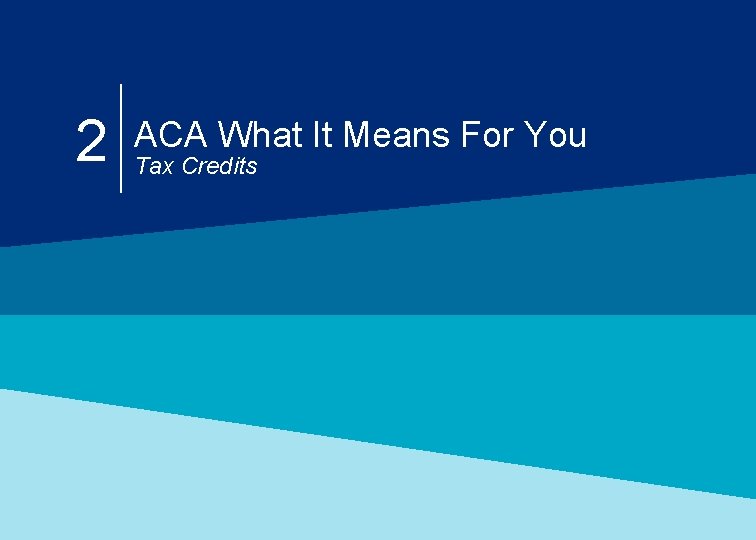 2 ACA What It Means For You Tax Credits 