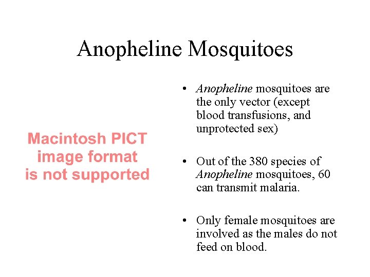 Anopheline Mosquitoes • Anopheline mosquitoes are the only vector (except blood transfusions, and unprotected