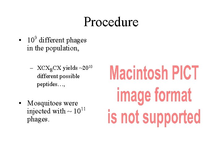 Procedure • 109 different phages in the population, – XCX 8 CX yields ~2010