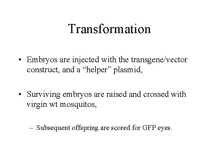 Transformation • Embryos are injected with the transgene/vector construct, and a “helper” plasmid, •
