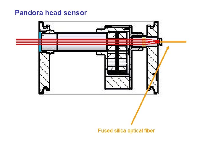 Pandora head sensor Fused silica optical fiber 