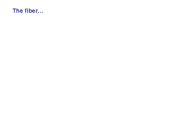 The fiber… 