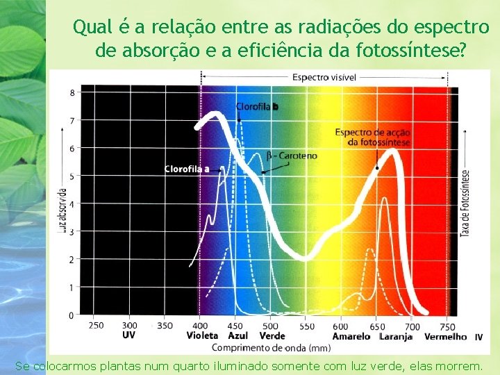 Qual é a relação entre as radiações do espectro de absorção e a eficiência
