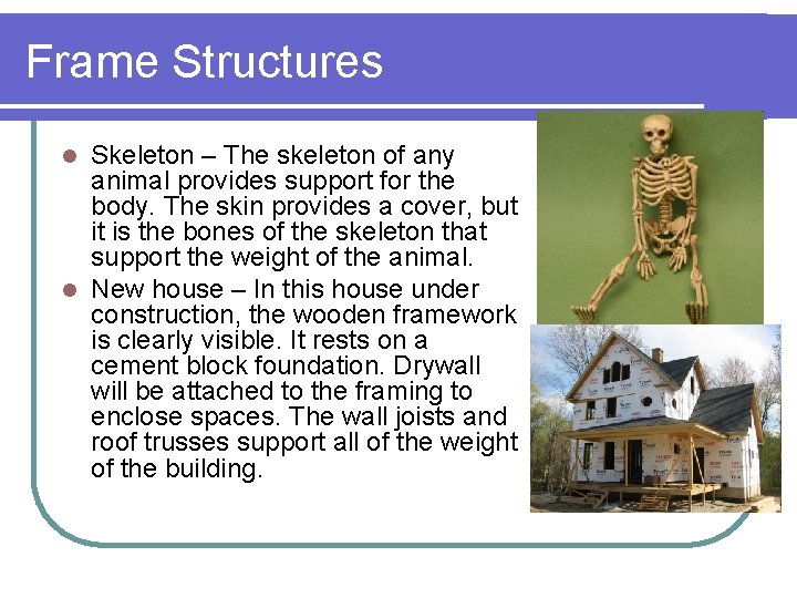 Frame Structures Skeleton – The skeleton of any animal provides support for the body.