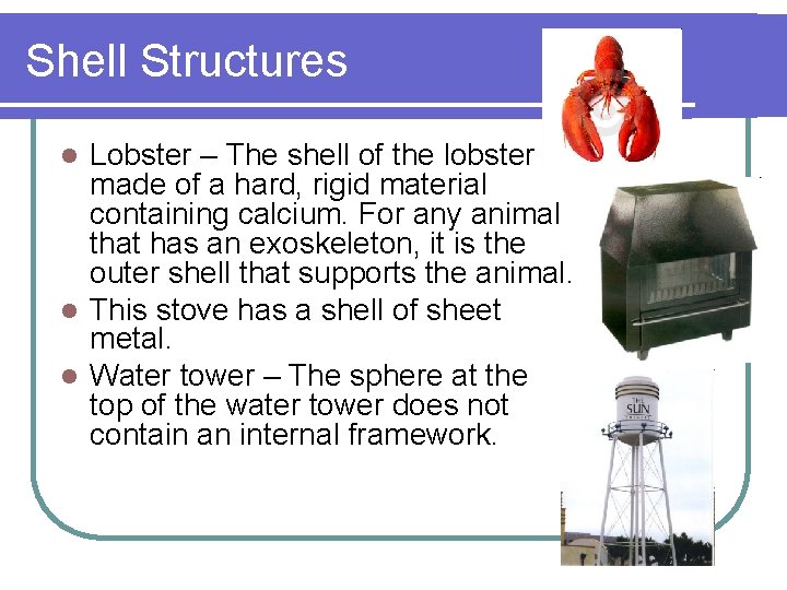 Shell Structures Lobster – The shell of the lobster is made of a hard,