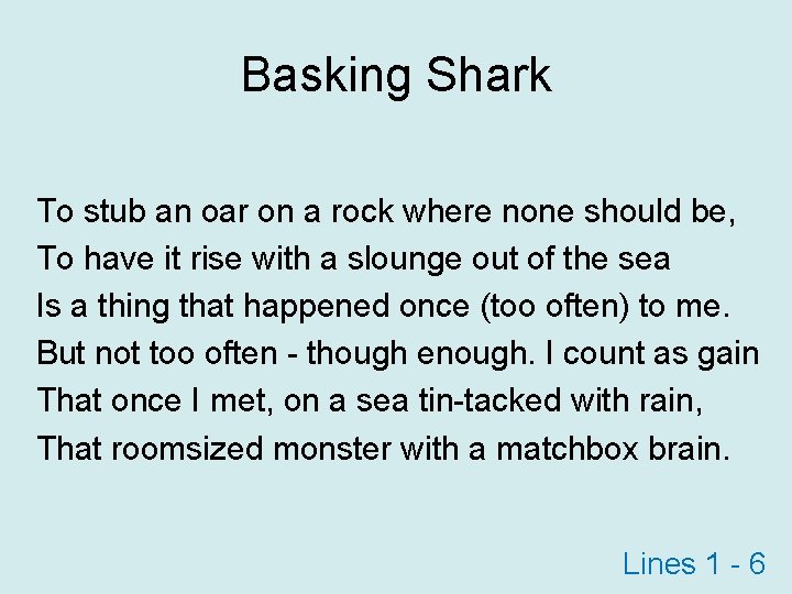 Basking Shark To stub an oar on a rock where none should be, To