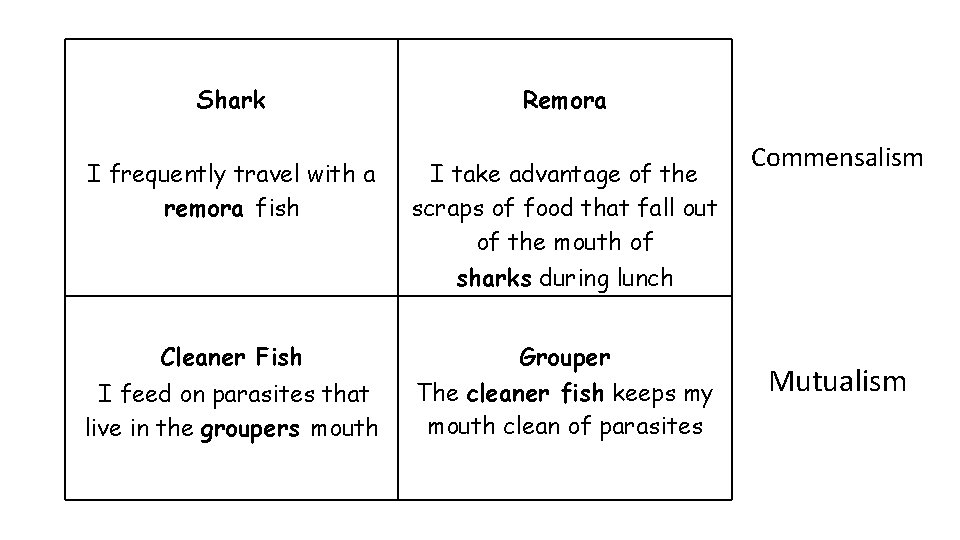 Shark I frequently travel with a remora fish Remora I take advantage of the
