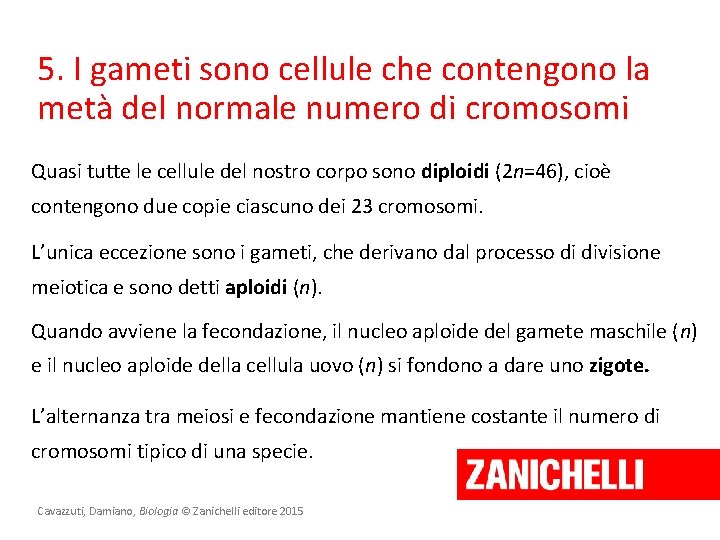 5. I gameti sono cellule che contengono la metà del normale numero di cromosomi