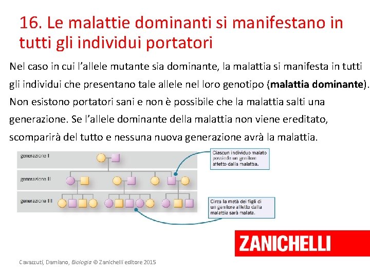 16. Le malattie dominanti si manifestano in tutti gli individui portatori Nel caso in